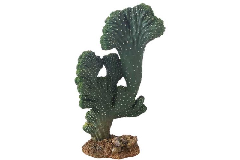 Hobby Kaktus Victoria 2, Kunstpflanze