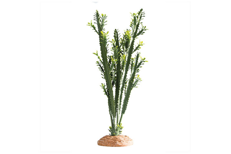 Hobby Euphorbia L, Kunstpflanze