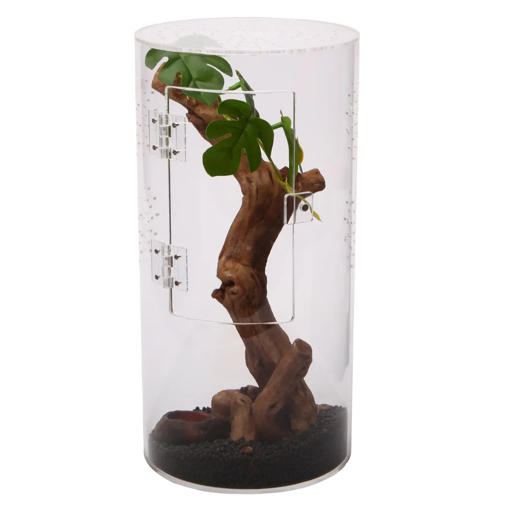 Transparentes zylindrisches Acryl-Terrarium mit seitlicher Klapptür, dekorativem Baumstamm, Kunstpflanze und schwarzem Bodengrund