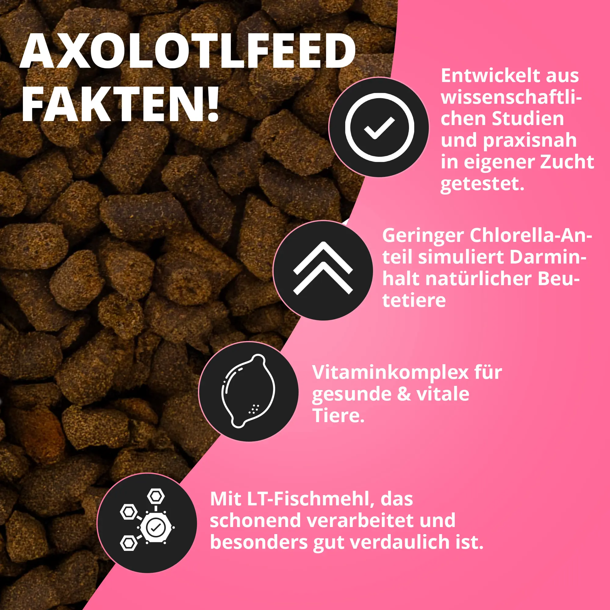 Axolotl-Futterpellets links und Produktinfos rechts
