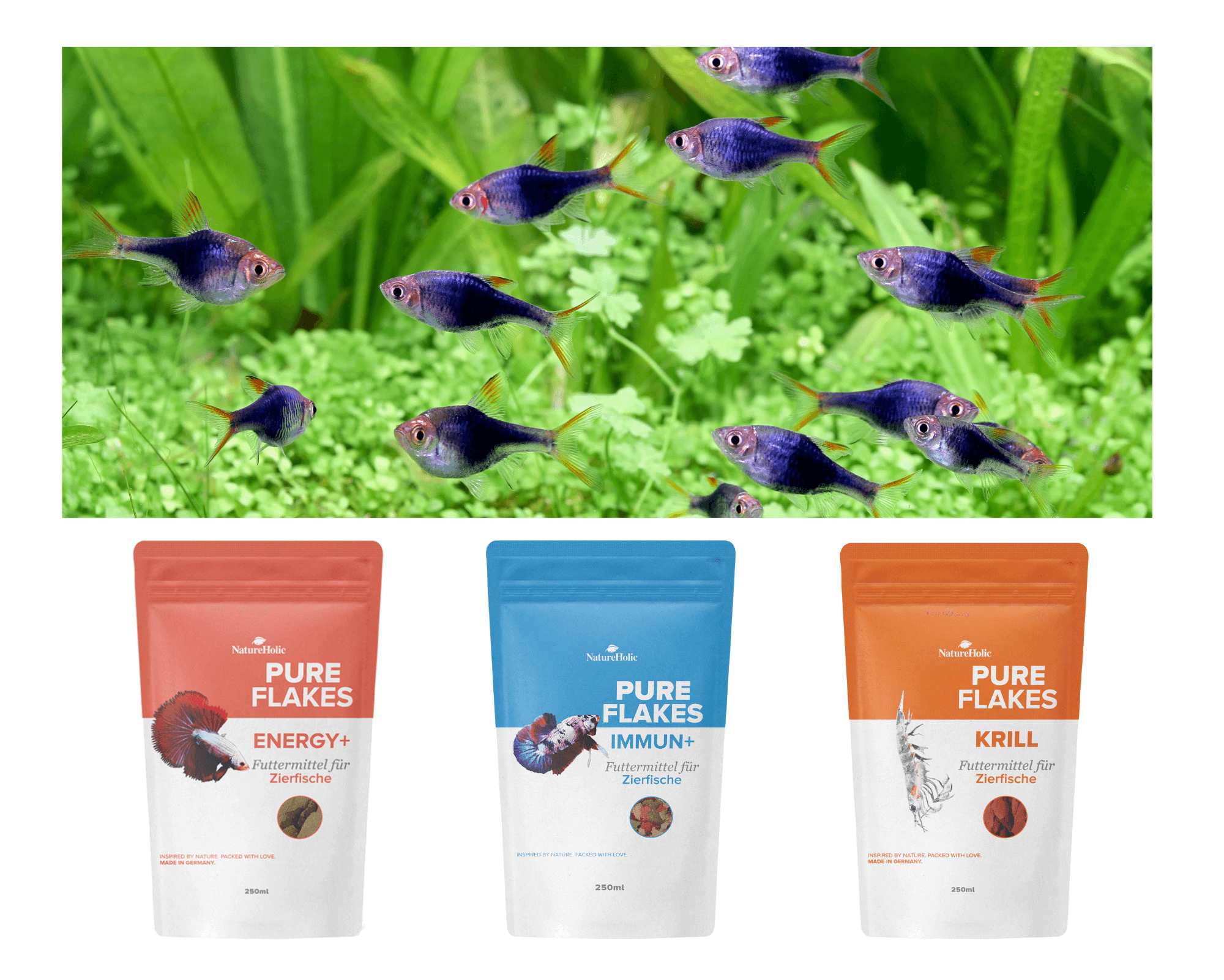 Aquarienfische über drei Pure Flakes Futterbeuteln