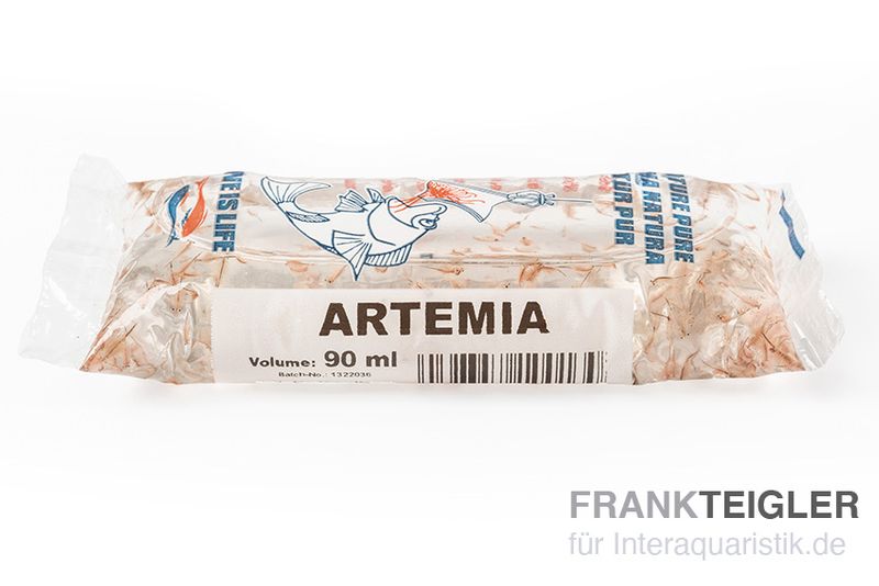 Lebendfutter Artemia Portionsbeutel, 90 ml "Salinenkrebse"