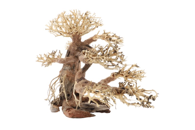 Dupla Bonsai L, Handgemachte Aquariendeko