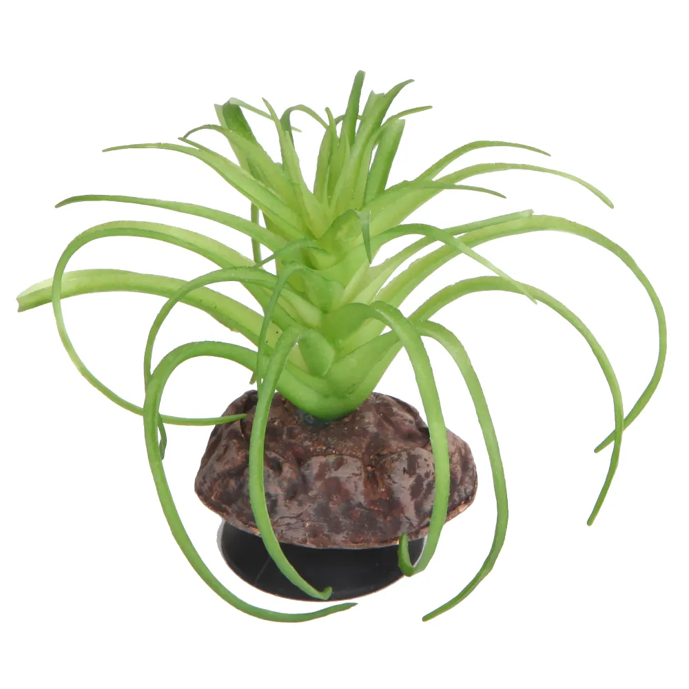 Hobby Terra Succulent 5, Kunstsukkulente 8 cm mit fleischigen rosa-grünen Blättern auf Felsimitat und Saugnapf; dekorativ und unbedenklich für Reptilien und Wirbellose in Sand- und Fels-Terrarien