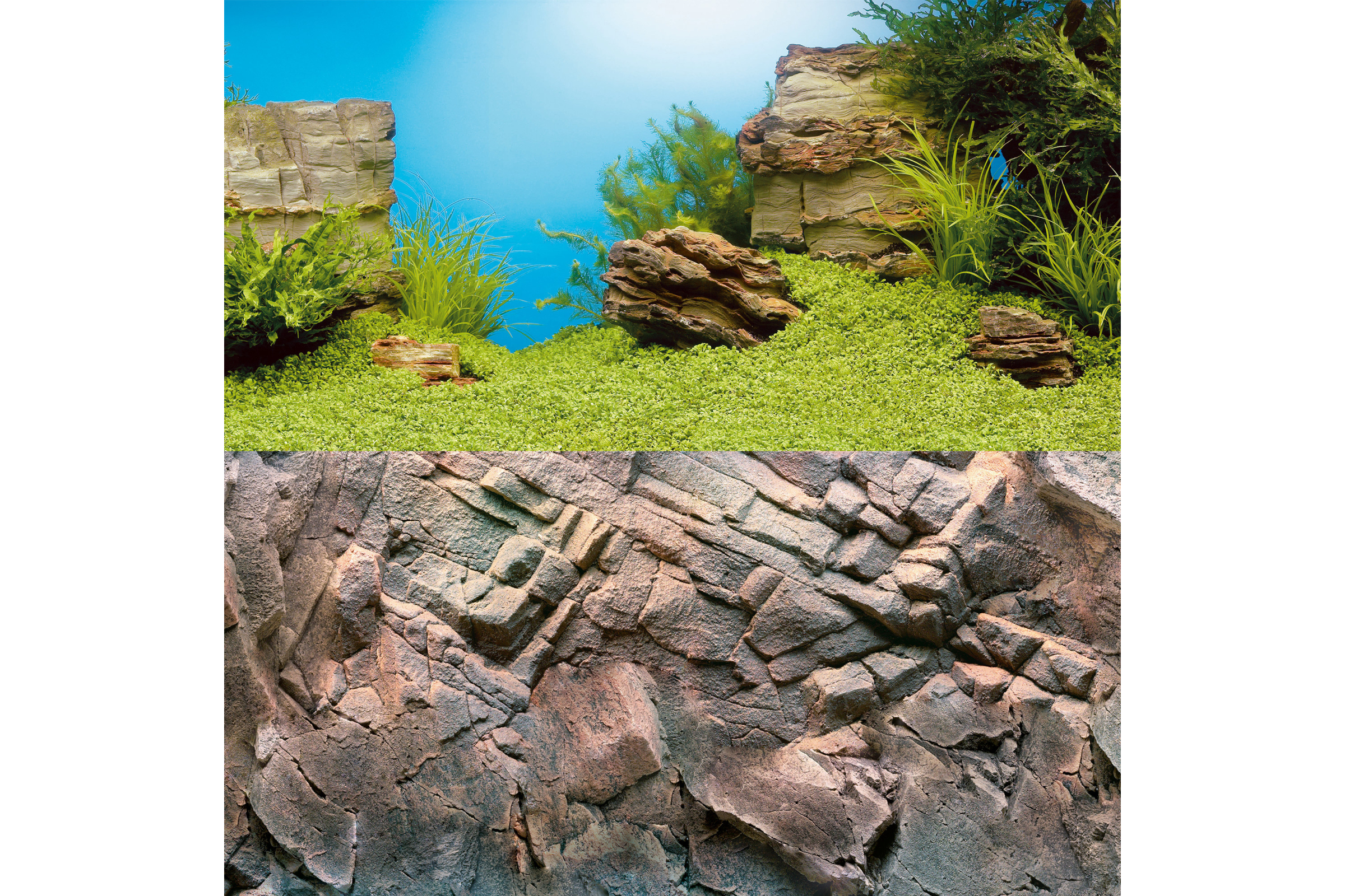 Juwel Poster 1, Rückwandposter, in 3 Größen