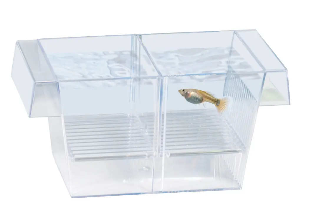 Marina Ablaichkasten 2 in 1
