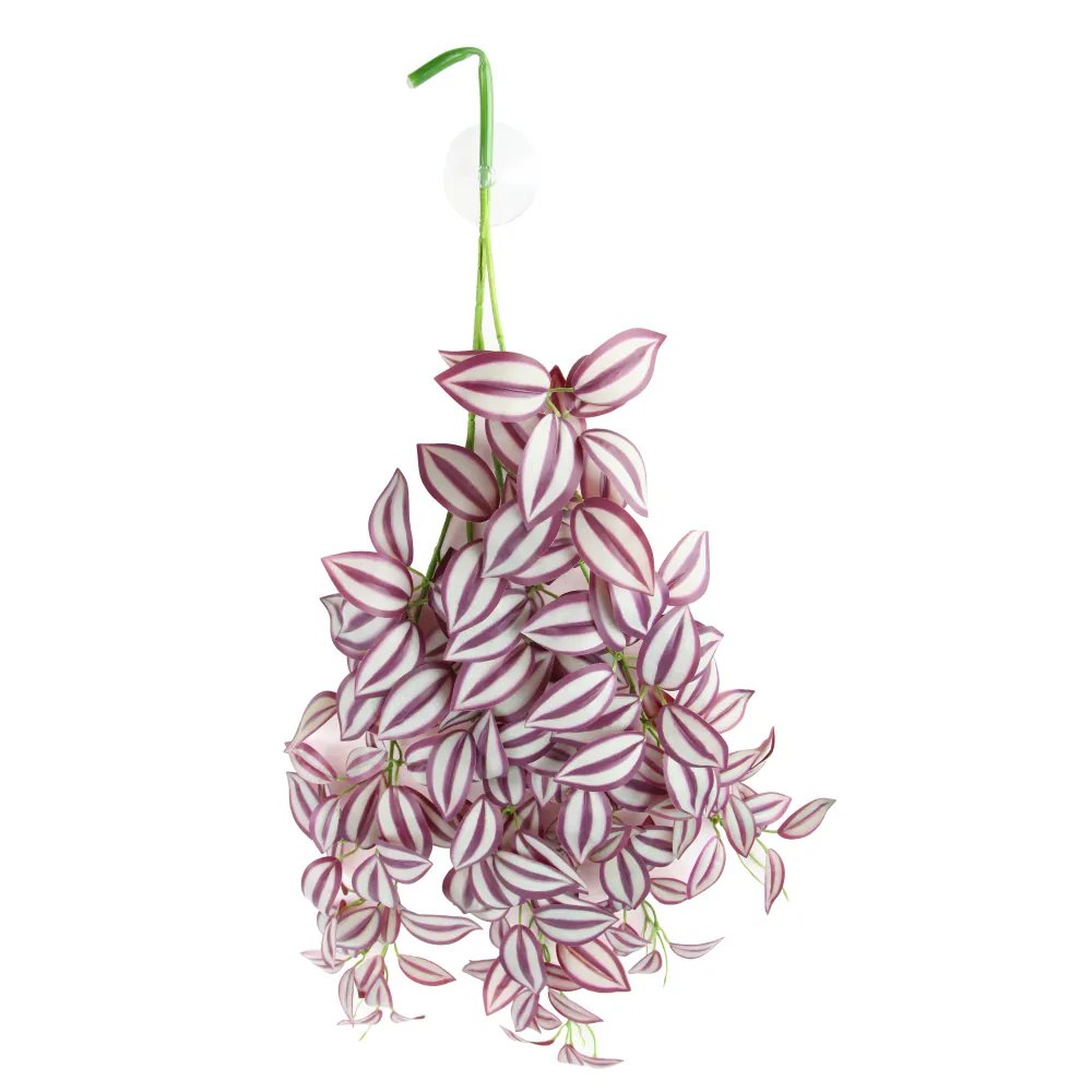 Künstliche Hängepflanze in Tradescantia-Zebrina-Optik mit dichtem Laub, rosa-weiß gestreiften Blättern und grünem Aufhängedraht mit Saugnapf, dekorativ für Wand oder Fenster