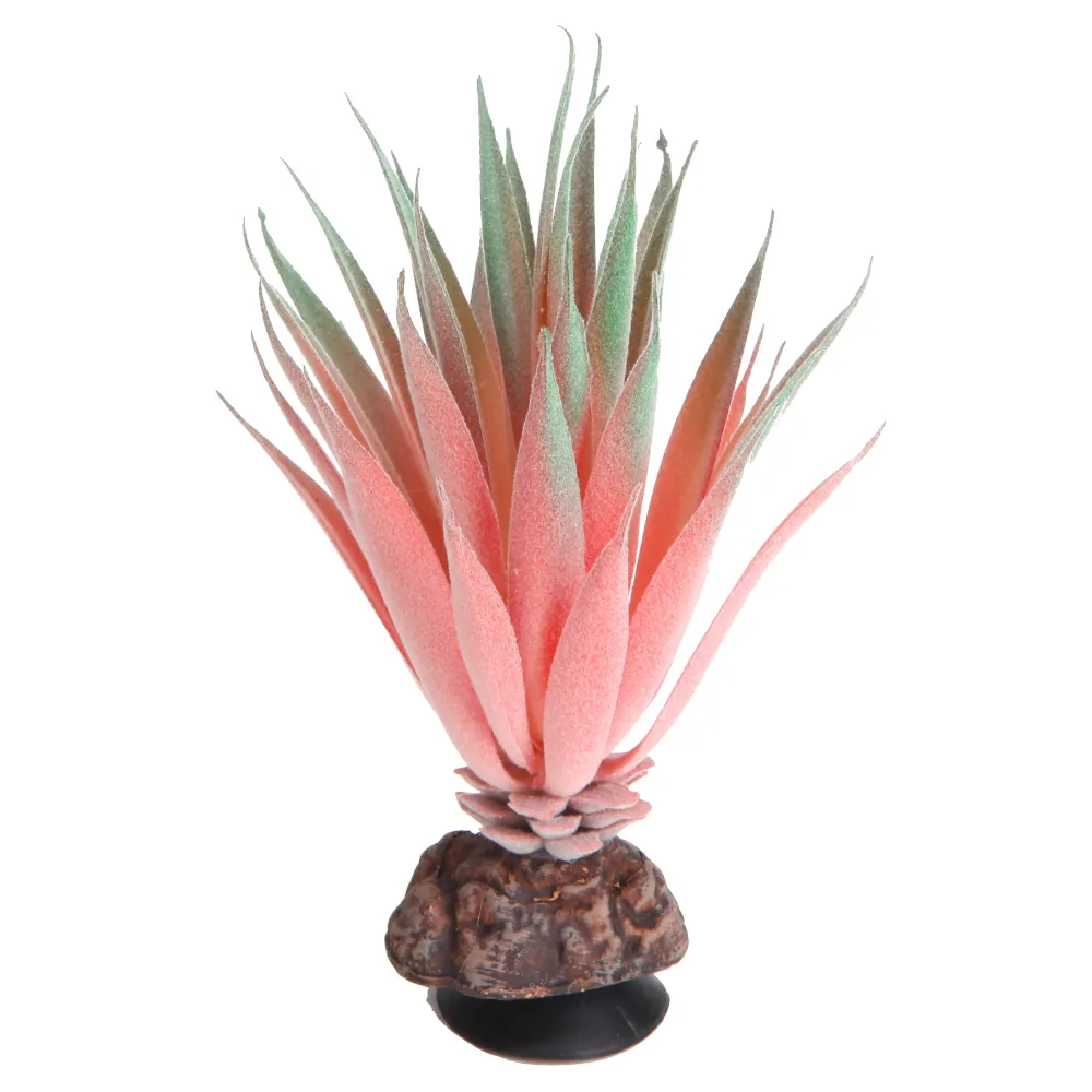Hobby Terra Succulent 1, künstliche Sukkulente (14 cm) mit fleischigen Blättern und Farbverläufen von Rosa bis Grün, unbedenklich für Reptilien und Wirbellose, Sockel mit Saugnapf für Terrarium