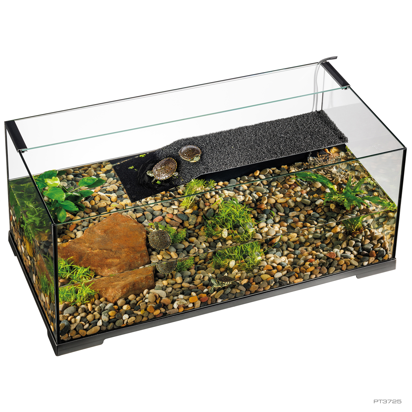 Exo Terra Turtle Haven Terrarium