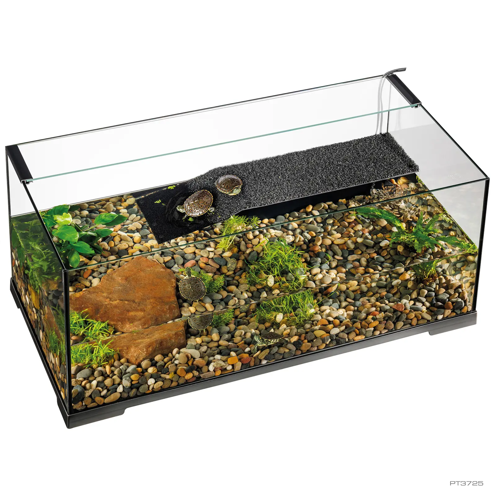 Exo Terra Turtle Haven Terrarium