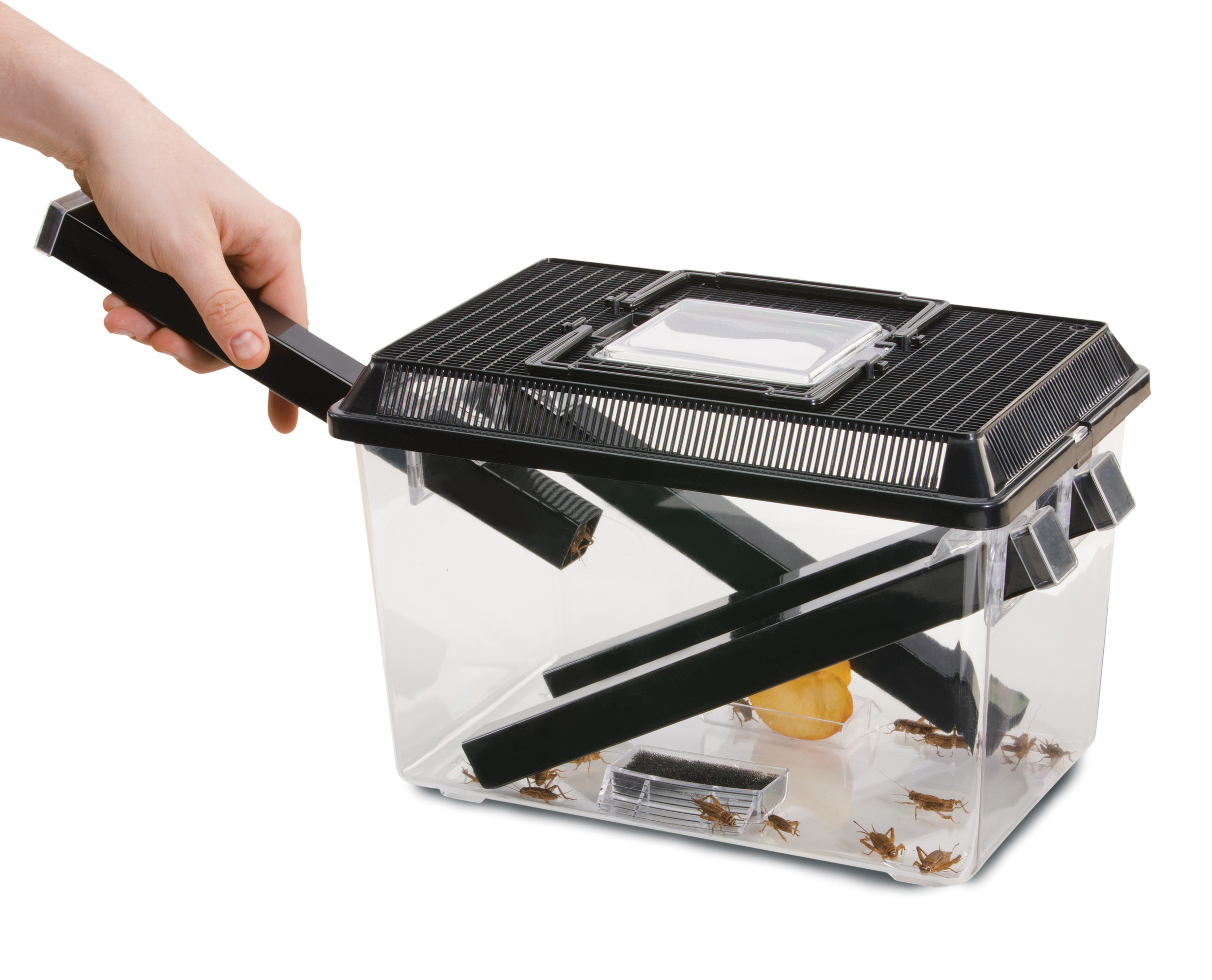 Exo Terra Cricket Box mit 3 Röhren + 2 Schwämme