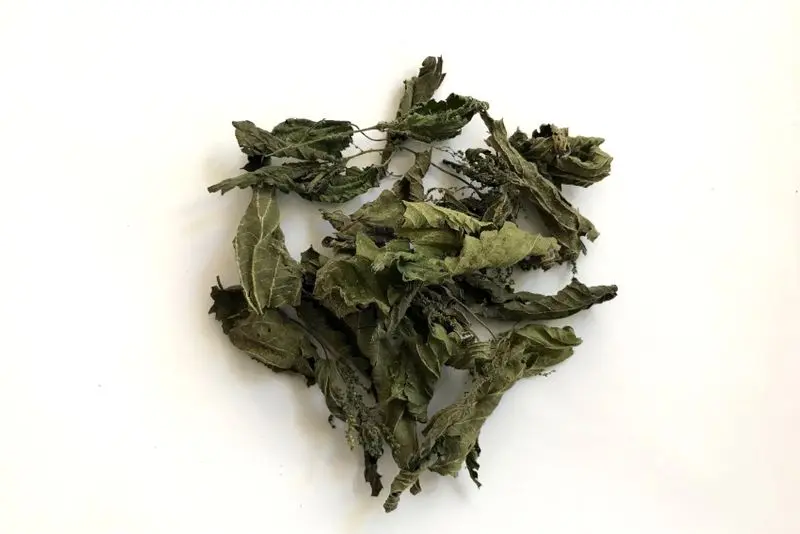 Brennnesselblätter, 5 Gramm