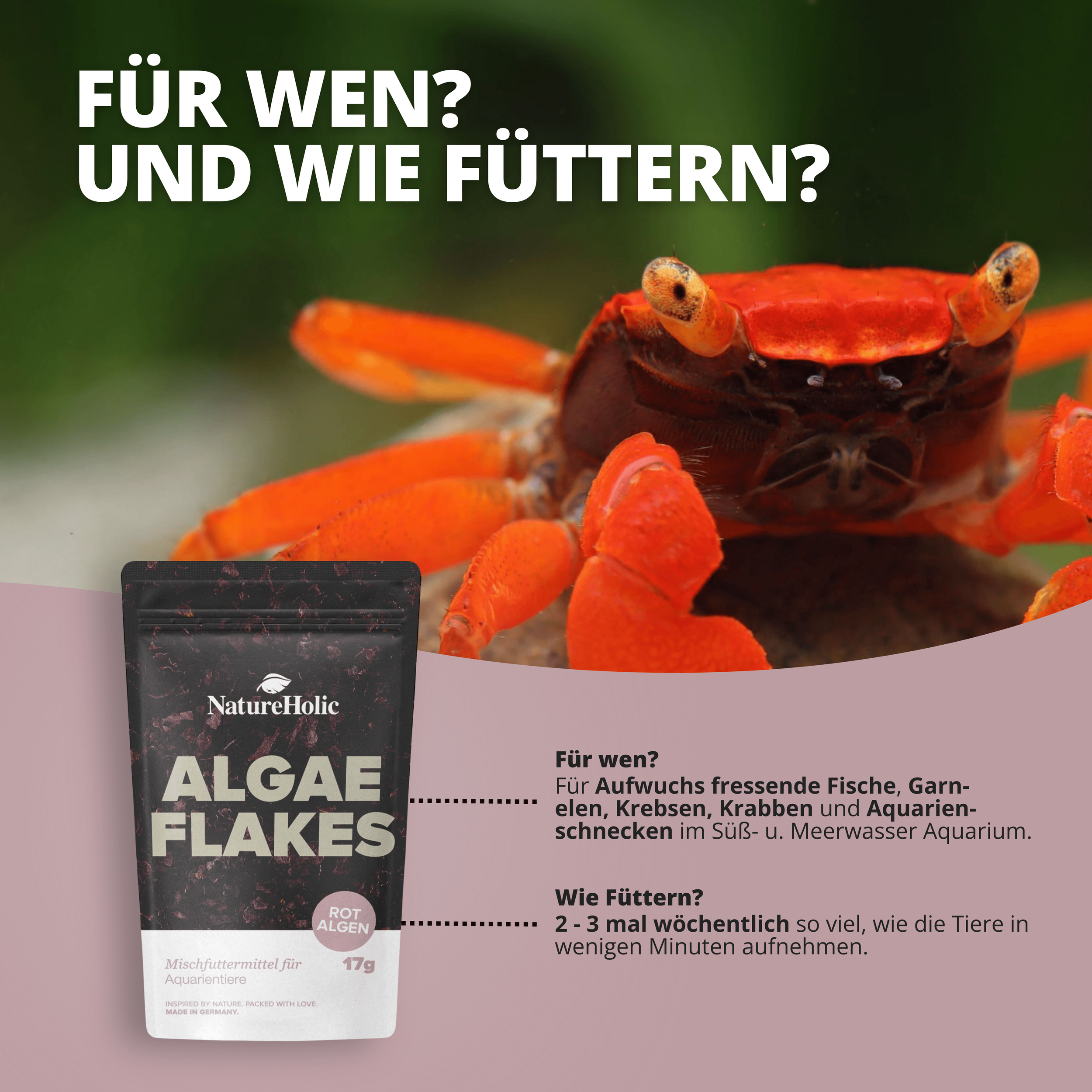 Rote Krabbe neben NatureHolic Algae Flakes Verpackung