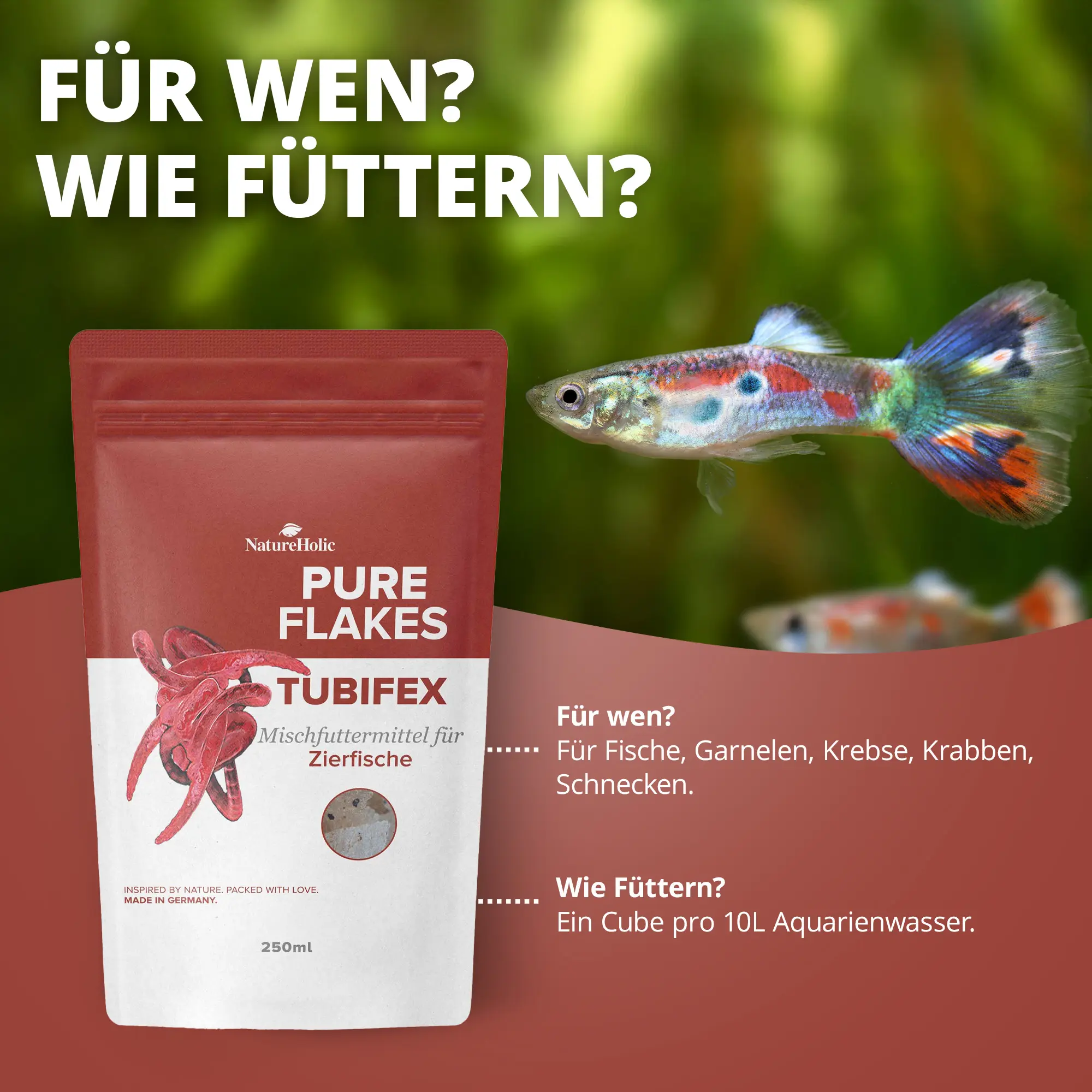 Produktbild: NatureHolic Pure Flakes Tubifex 250 ml Packung neben buntem Guppy, Texthinweis 'Für Fische, Garnelen, Krebse, Schnecken' und Fütterung 'Ein Cube pro 10L' – proteinreiches Flockenfutter mit Tubifex, Heringsmehl und Lachsöl