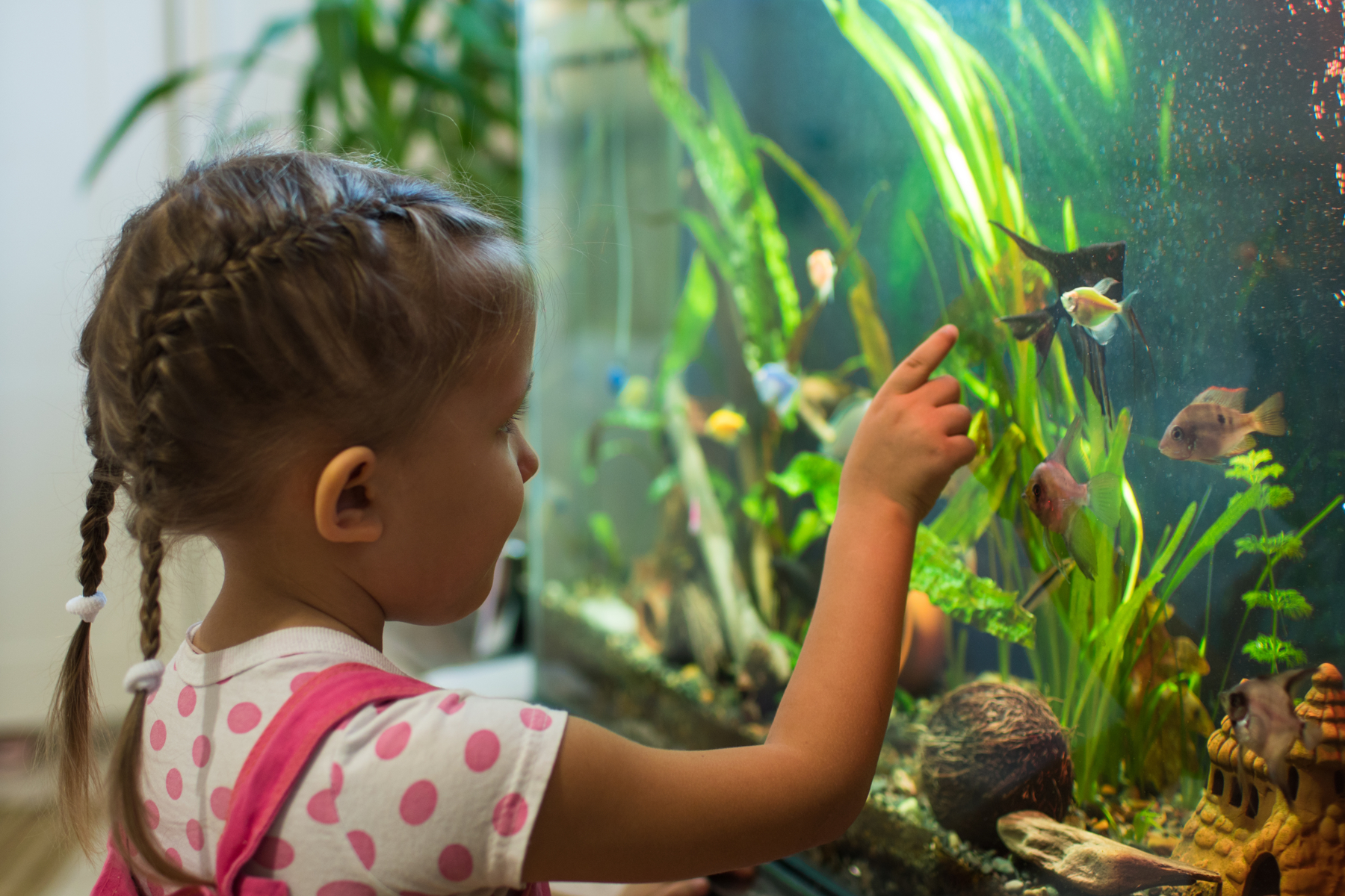 Kinder sind fasziniert von Aquarien