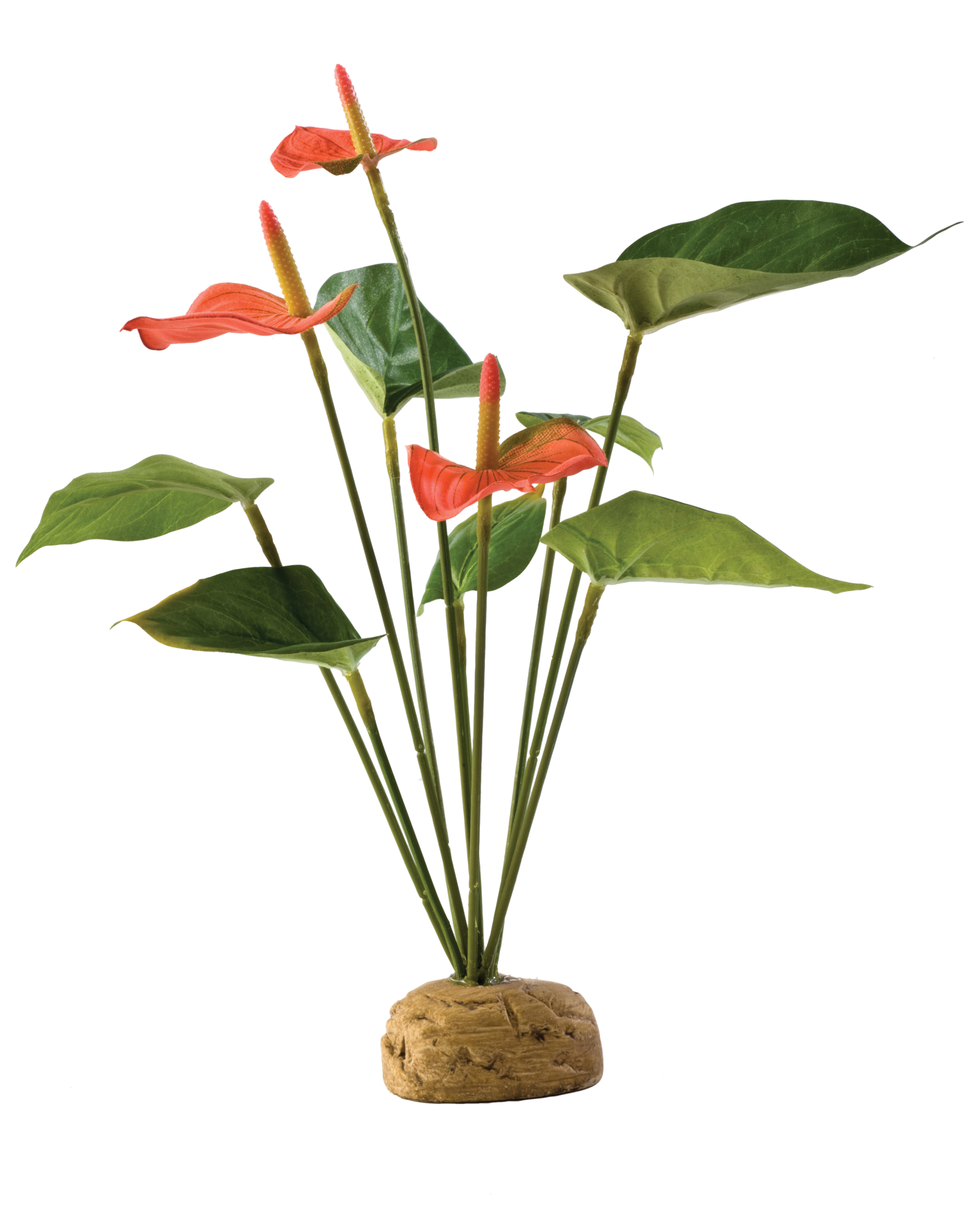 Exo Terra Flamingoblume