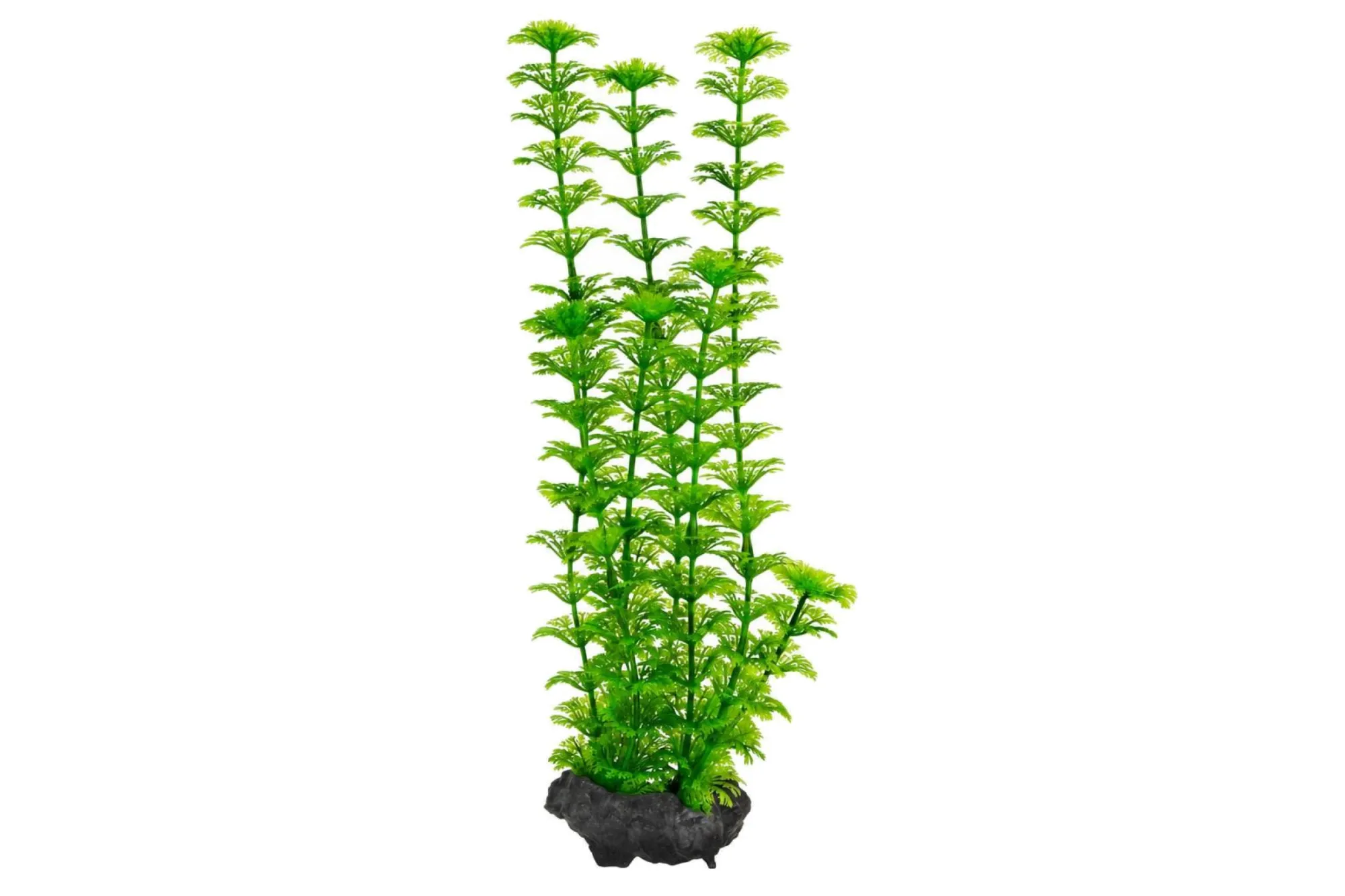 Tetra DecoArt Plant Ambulia M, 23 cm – KI-generierte Abbildung aus Produktreferenz