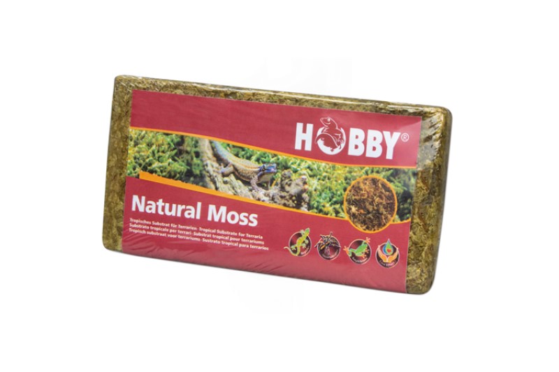 Hobby Natural Moss 100 g