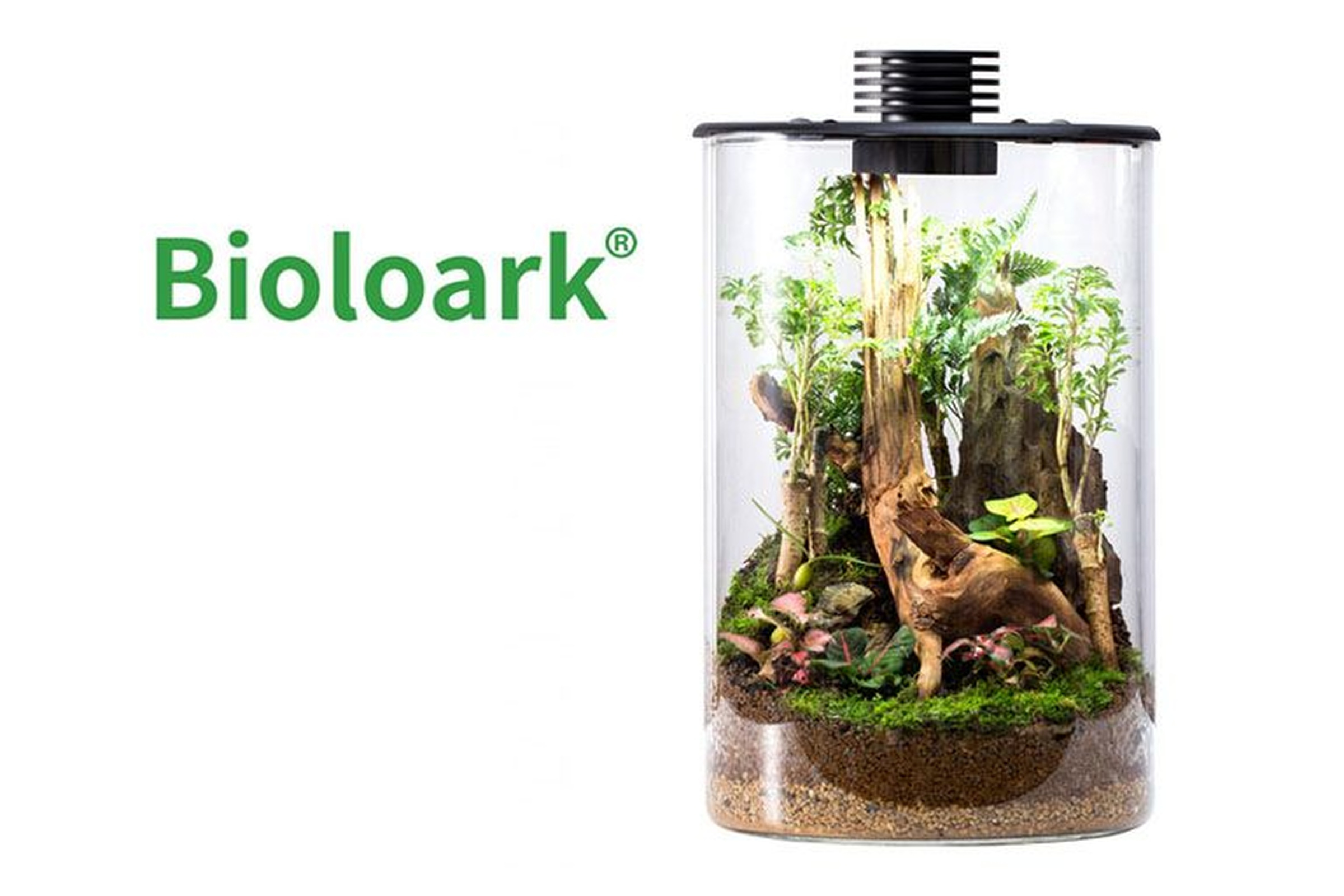 Bioloark Bio Bottle ZD150 Wabi-Kusa / Biosphäre, Zylinderform
