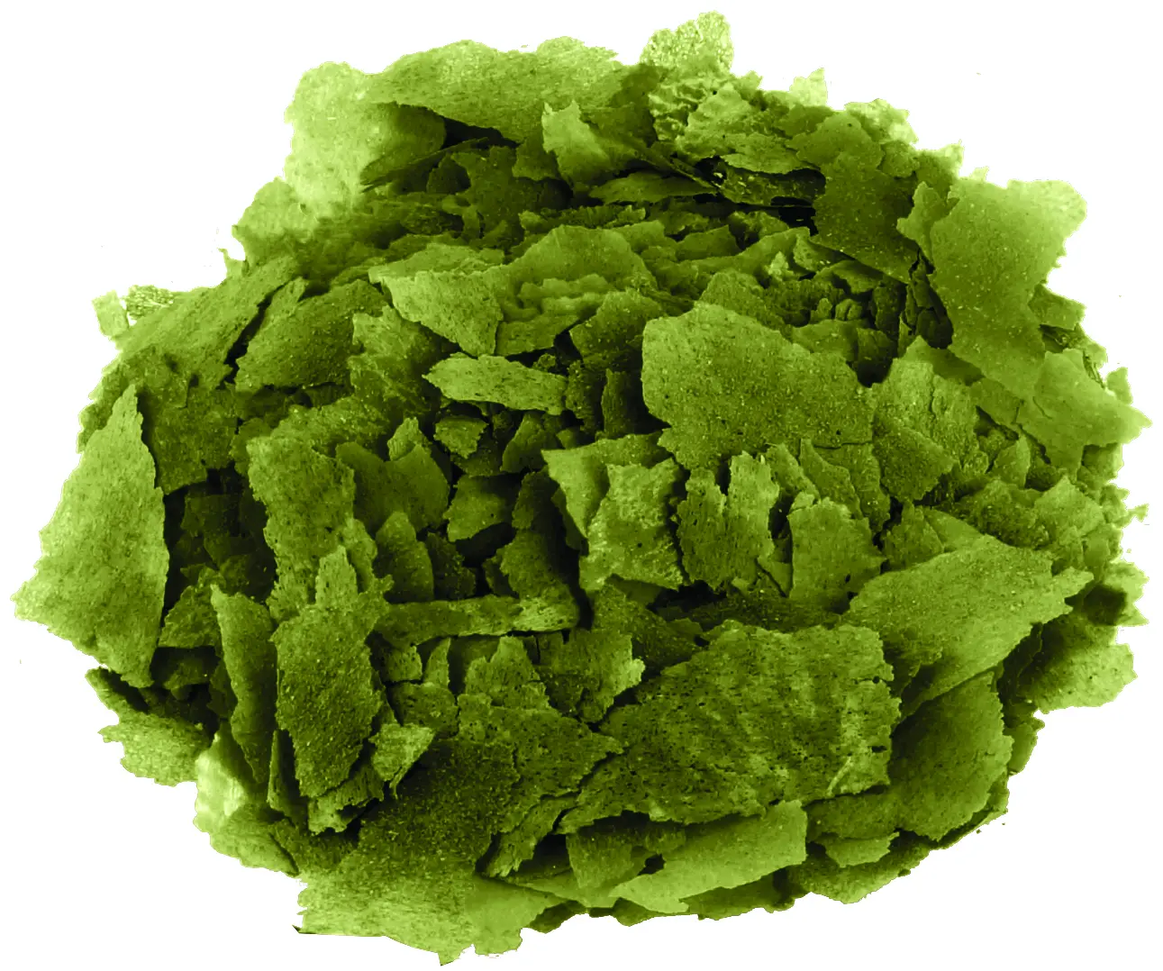 Fluval Bug Bites Spirulina Flakes 100 ml