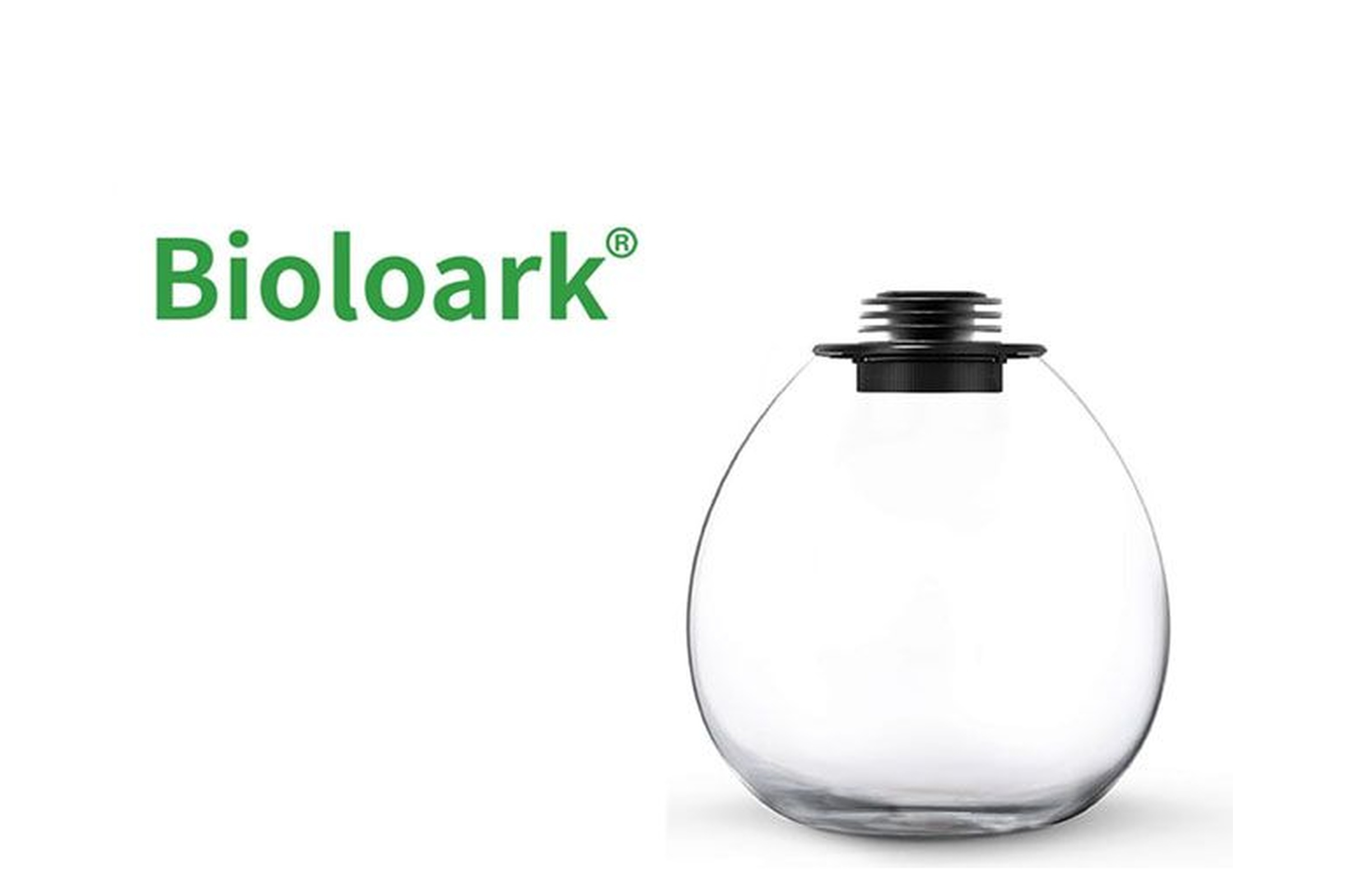 Bioloark Bio Bottle QD172 Wabi-Kusa / Biosphäre, Bauchglas