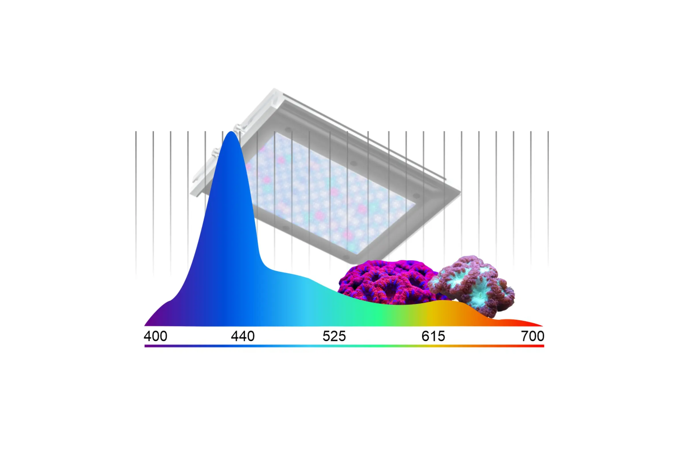 Lichtspektrum 400–700 nm, blauer Peak und Korallen
