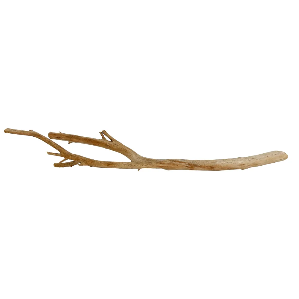 Hobby Manza Wood Naturholz 40–60 cm, vielfach verzweigter feiner Dekozweig für Aquarium und Terrarium; Moose anbindbar, Versteck für Garnelen und Jungfische