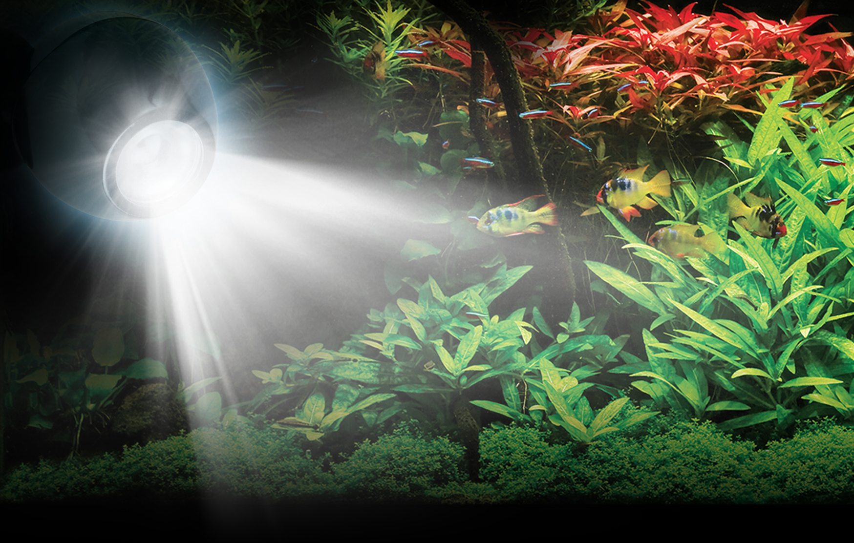 Fluval 6.5W RGB LED Spot Light