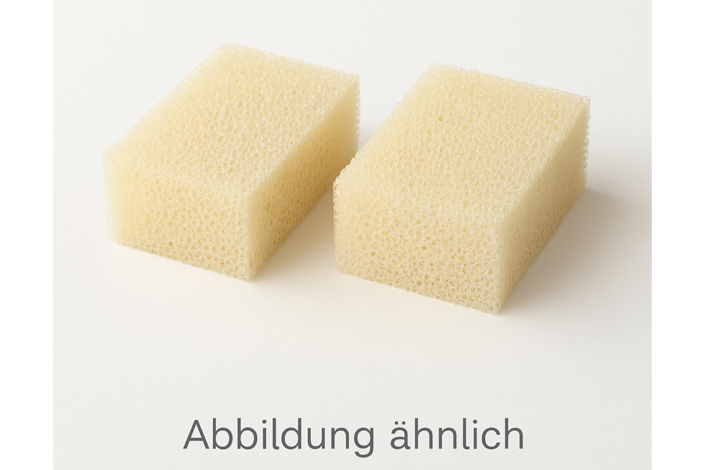 Eheim Grobfilter für skim350 (3536), 2 Stück