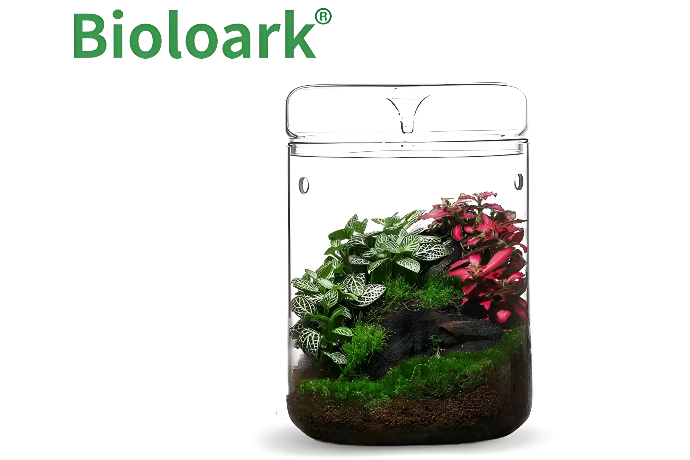 Bioloark Luji Glass Cup MY-120H, Biosphären-Glas