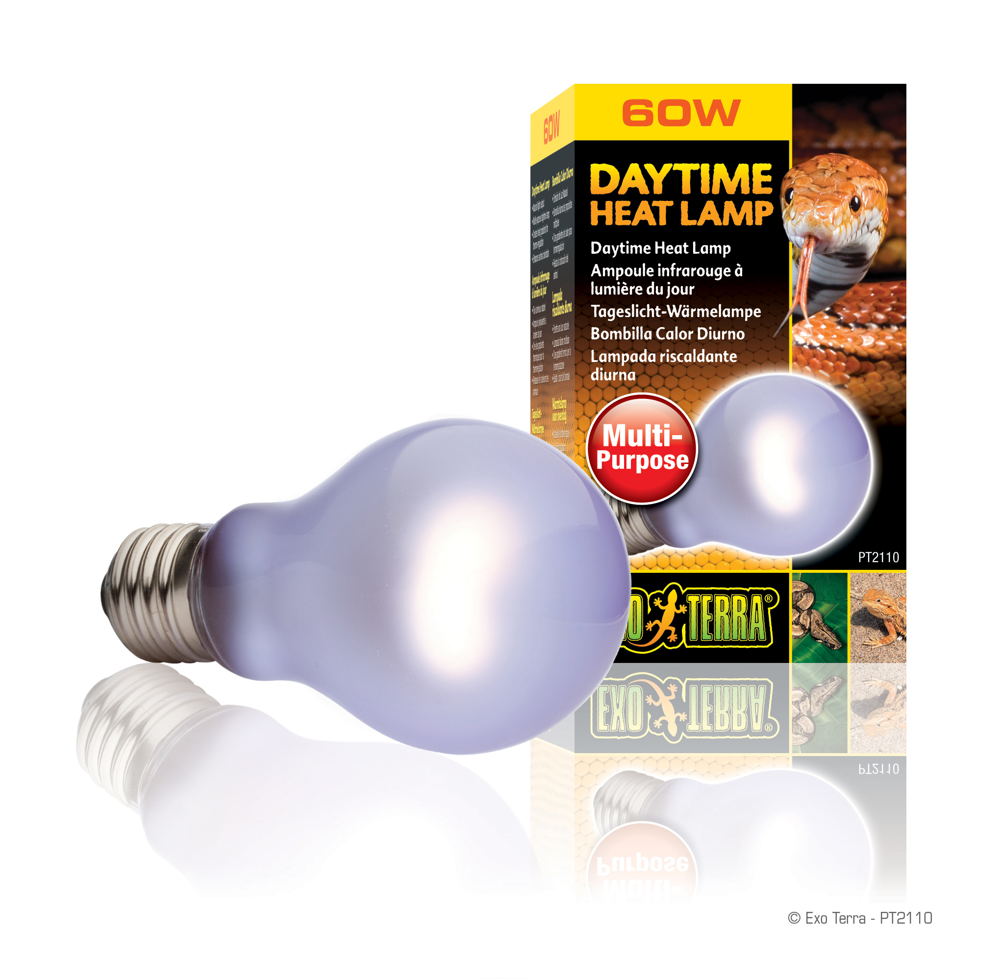 Exo Terra Day Glo SG A19/60 W