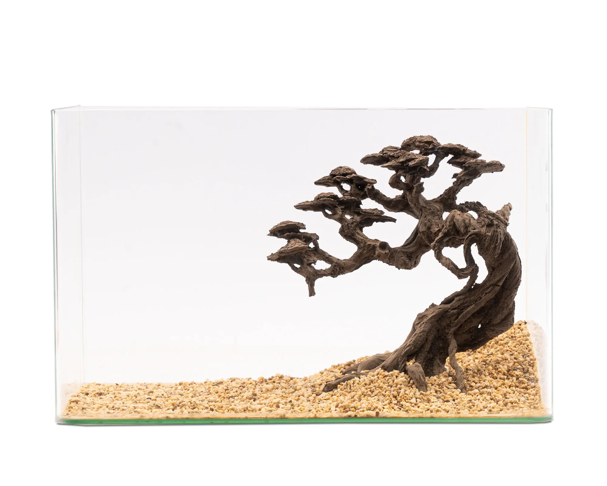Bonsai-förmiges Wurzelholz im Aquarium auf Kies
