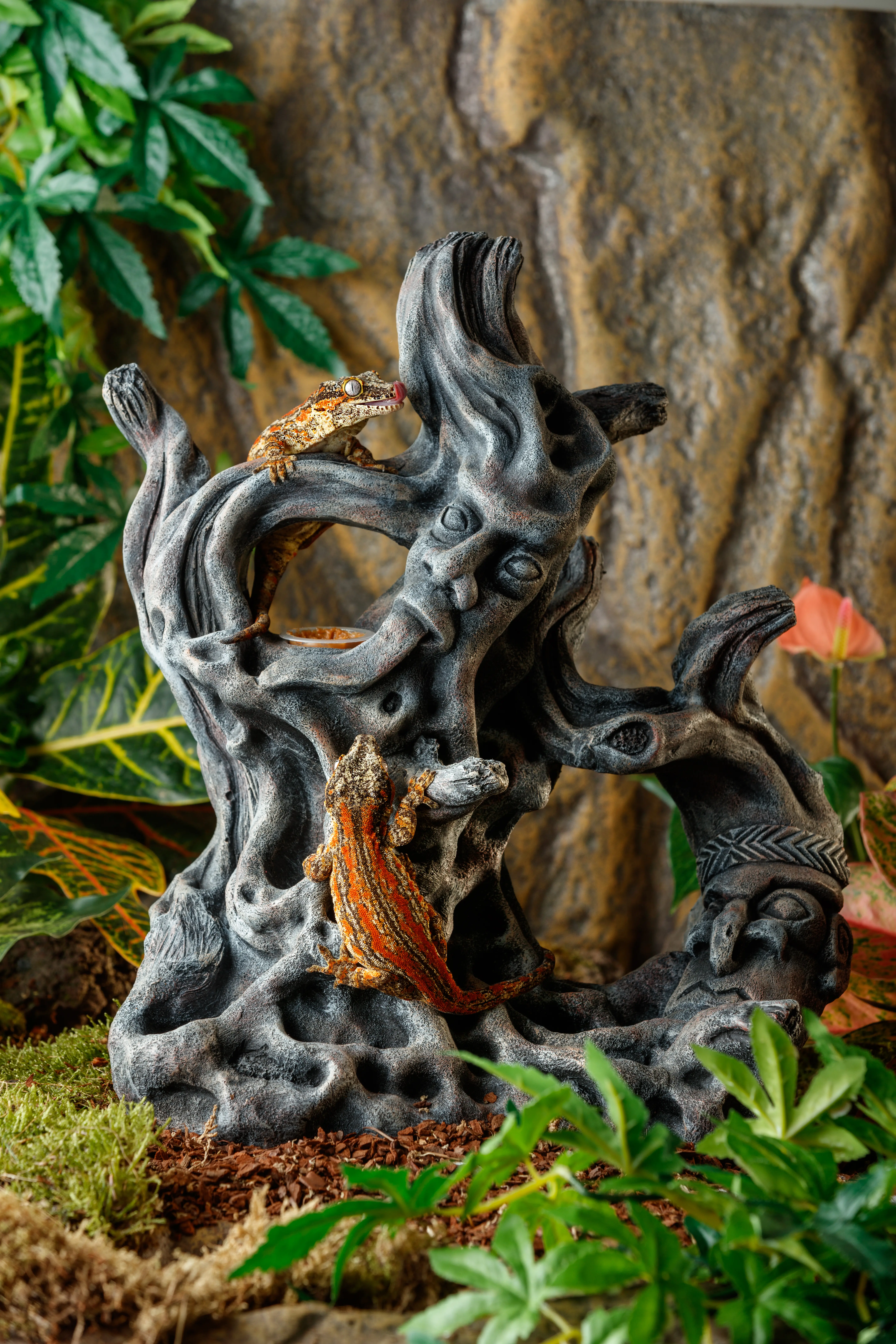 Exo Terra Tiki Ornament groß