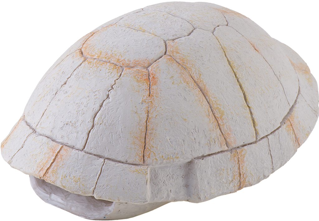 Exo Terra Landschildkröten Skelett