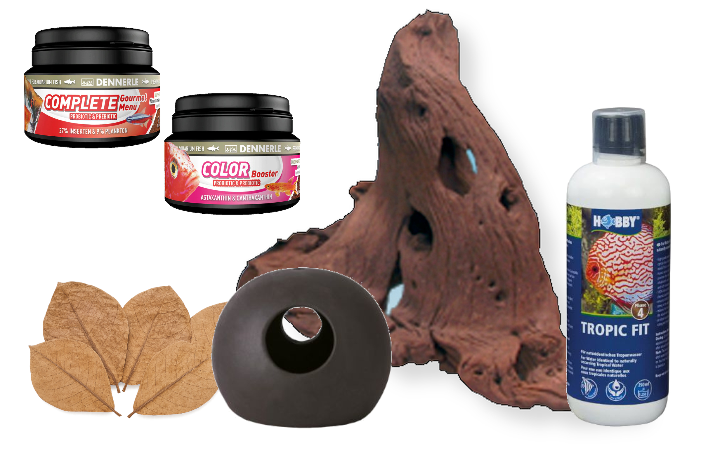 Apistogramma Starter-Komplettset: Deko, Futter & mehr