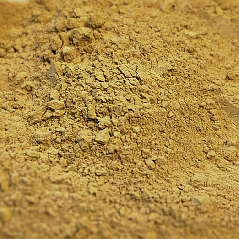 Nahaufnahme von fein gemahlenem gelbem Gewürzpulver (Kurkuma) mit körniger, trockener Struktur