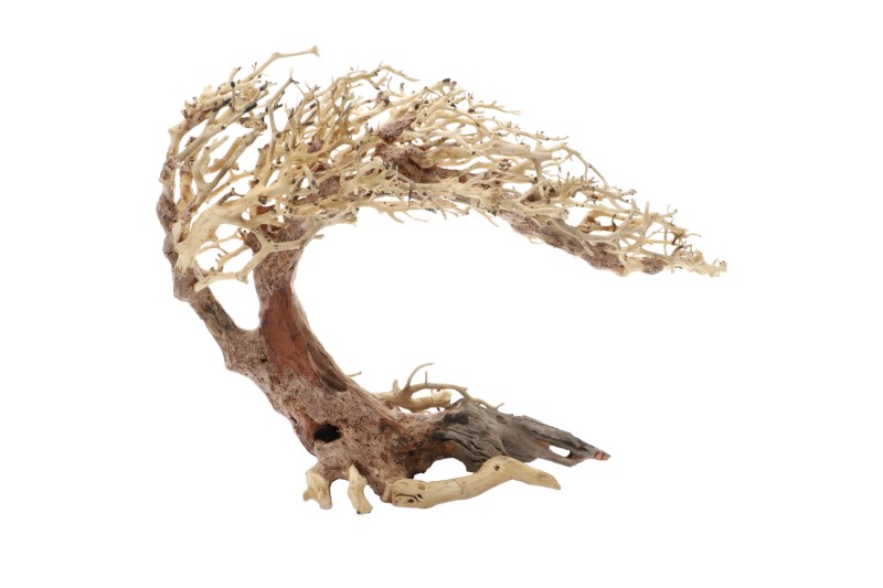 Dupla Crooked Root L, Handgemachte Aquariendeko
