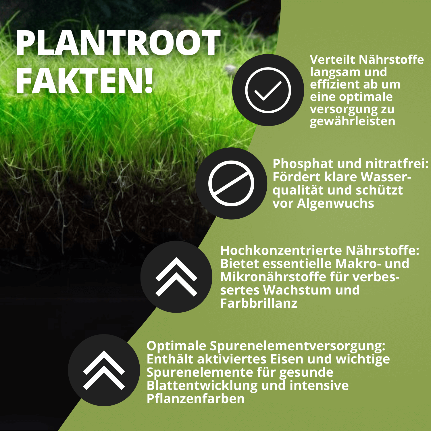 Nahaufnahme von Pflanzenwurzeln und Nährstoffinfos