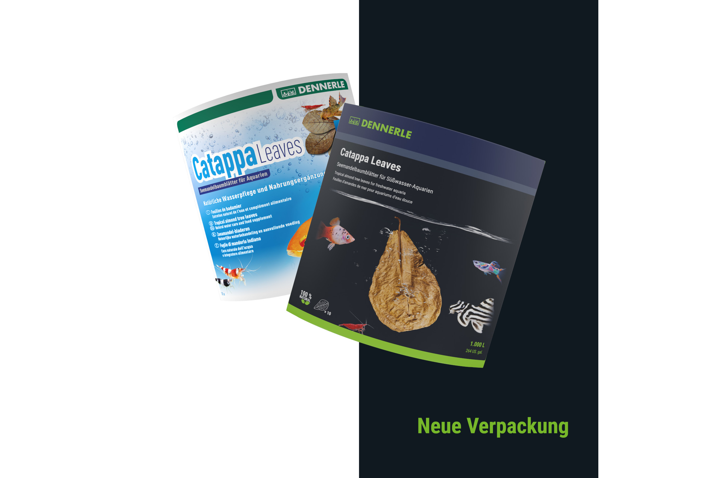 Dennerle Catappa Leaves, Seemandelbaumblätter, 10 Stück