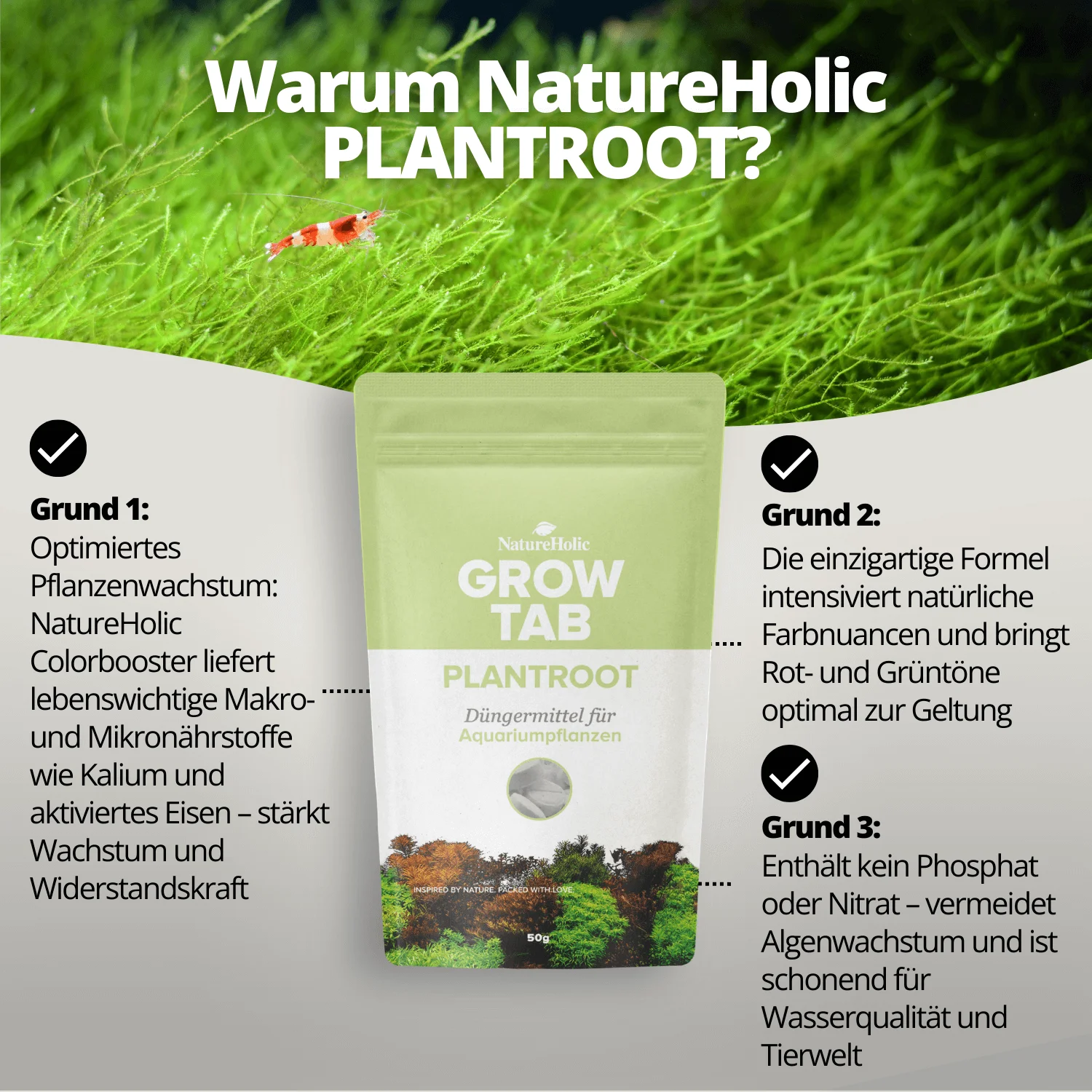 Beutel NatureHolic PLANTROOT Dünger vor Moos