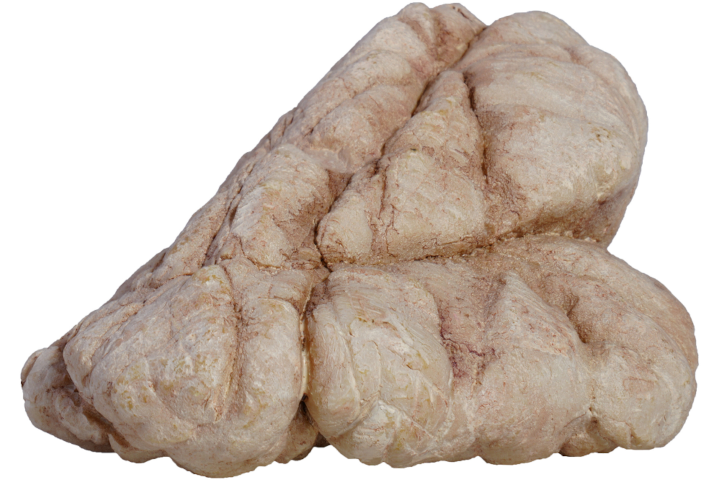 Hobby Sandstone Rock 5 (19 × 15,5 × 19 cm)