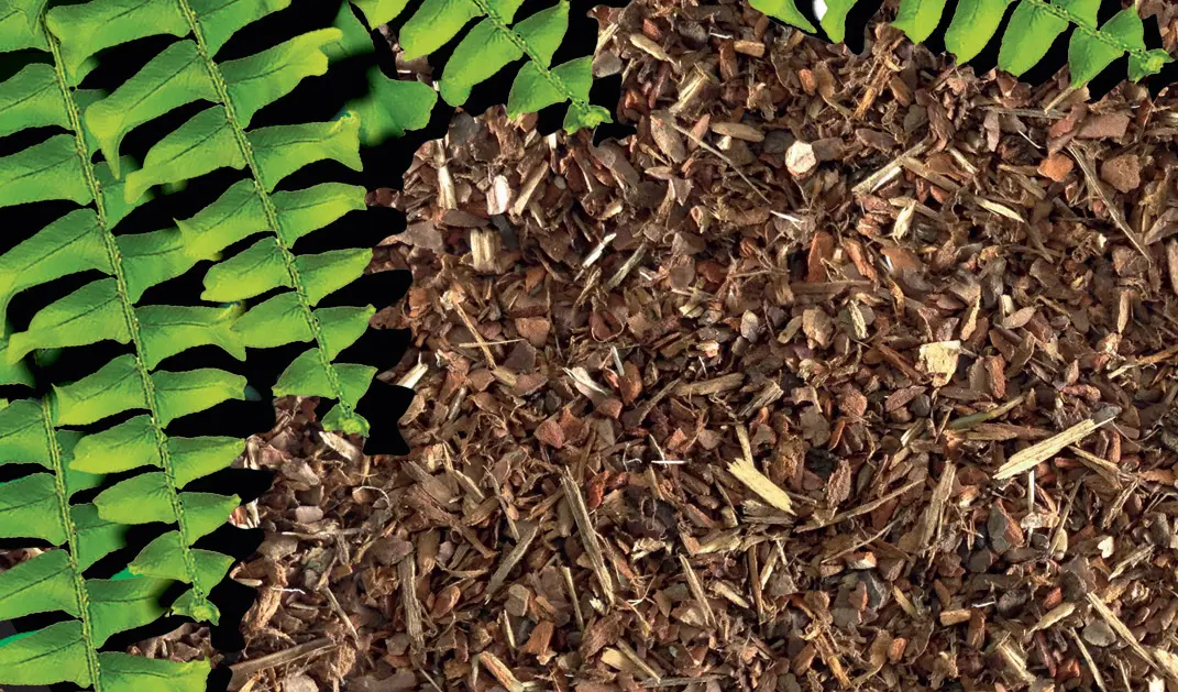 Exo Terra Tropica lTerrarium-Substrate Jungle Earth, 8,8l