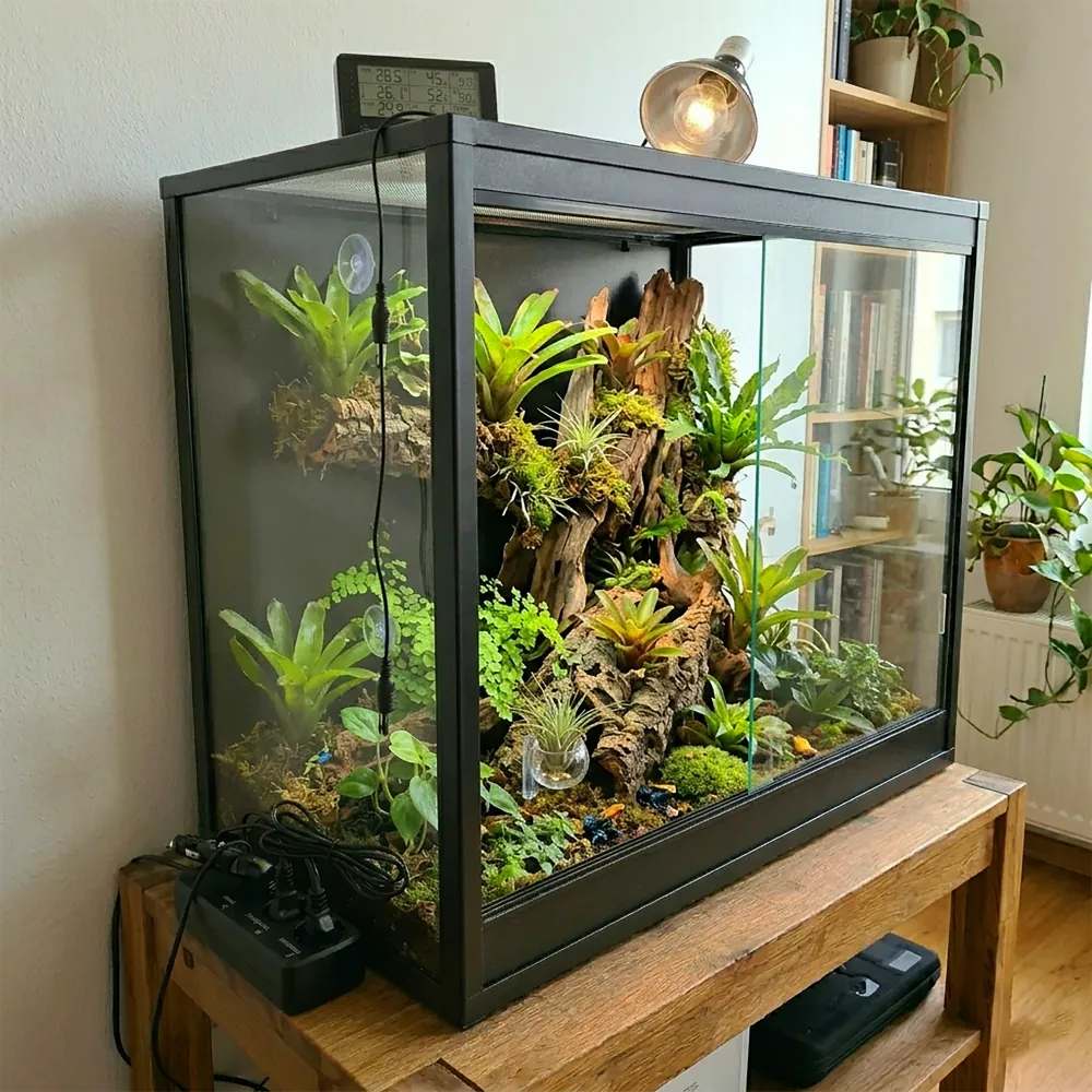 Hobby Biotherm Easy Control (Hersteller: Hobby) auf einem bepflanzten Terrarium; Display, Lampenanschluss und Kabel sichtbar. Klimacontroller für Temperatur, Luftfeuchte und Beleuchtung von Reptilien- und Amphibienhaltung