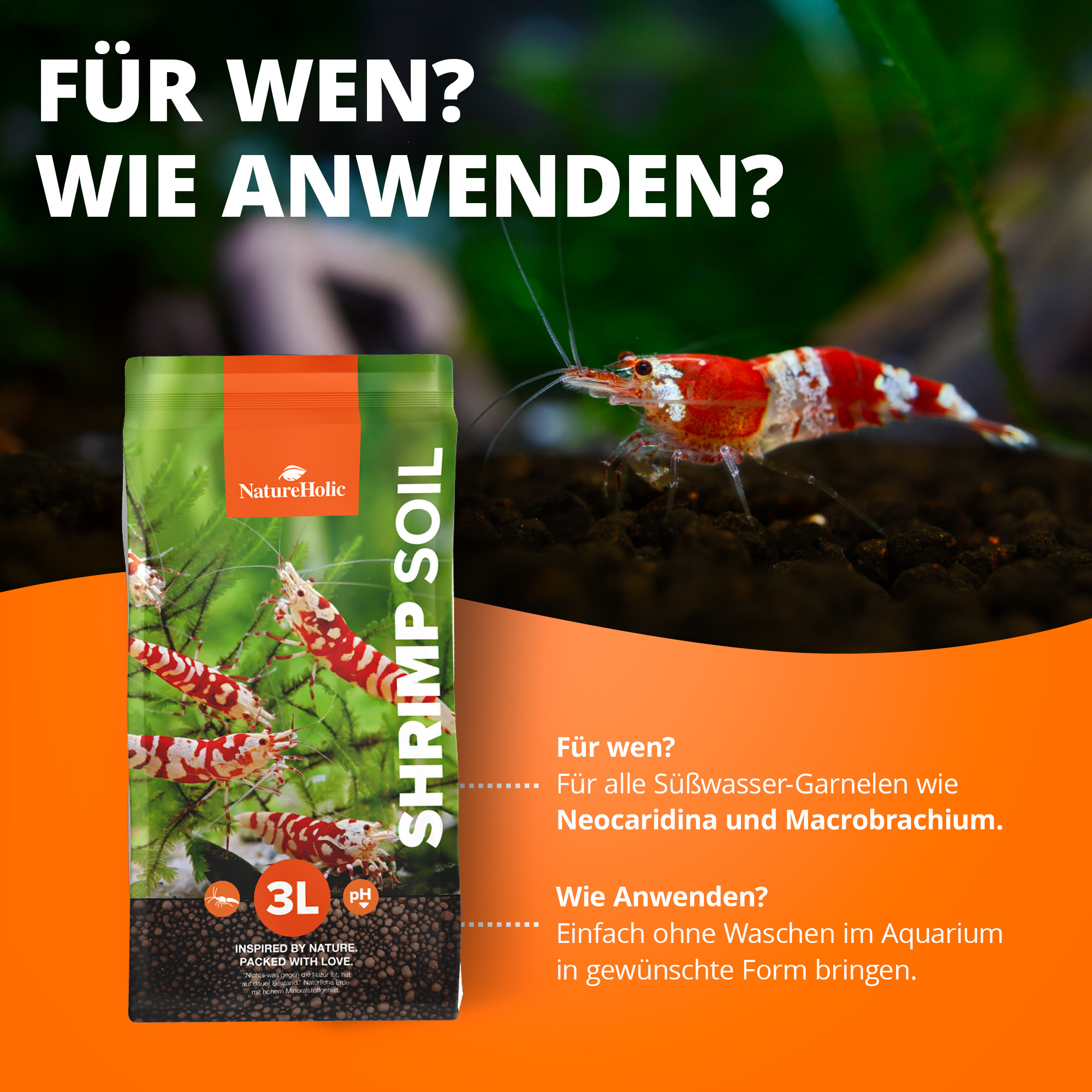 Produktbild: Shrimp Soil Bodengrund mit Garnelen im Aquarium