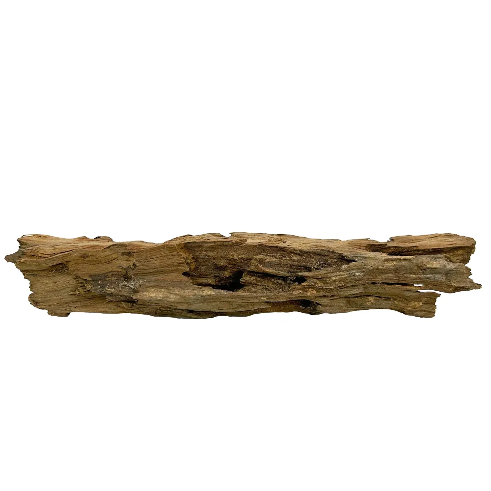 Hobby Honeycomb Wood M, Naturholz 20–30 cm: durchbrochener Holzstamm mit offenen Kammern und ausgefransten Kanten, ideal als Versteck, Kletterstruktur und Schattenspender im Aquarium und Terrarium