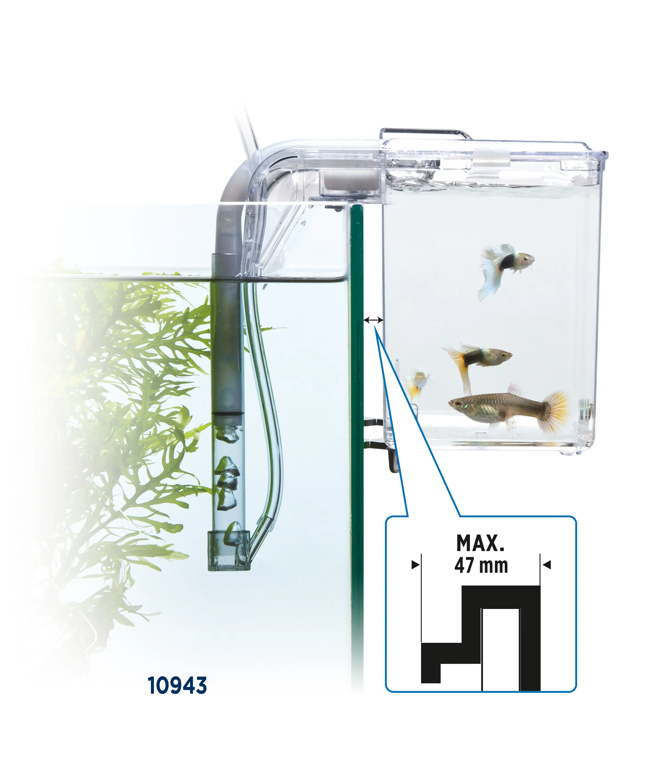 Fluval Hang on Aufzuchtbecken L (2 ,0 l)
