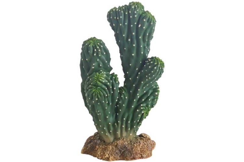 Hobby Kaktus Victoria 1, Kunstpflanze