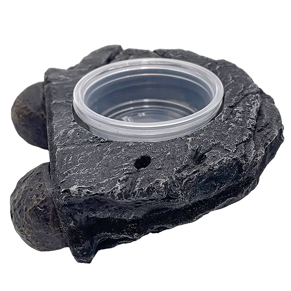 Nahaufnahme der Hobby Gecko Station S: magnetische Futterplattform in Steinoptik mit transparenter Einsatzschale (für Futterbrei/Jellys), seitliche Neodym-Magnetkugeln zur Befestigung an der Terrarienscheibe, kompakte Maße 13×9×4,5 cm