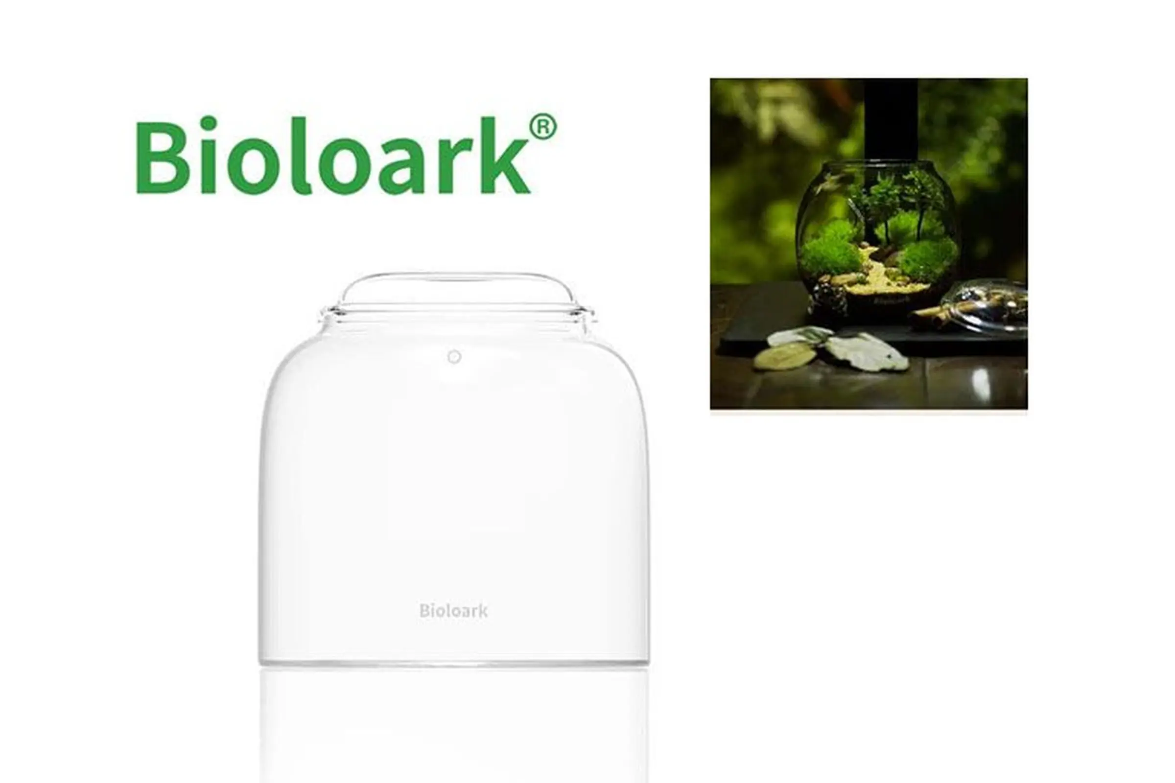 Bioloark Bubble Cup ONE, Wabi-Kusa Glas
