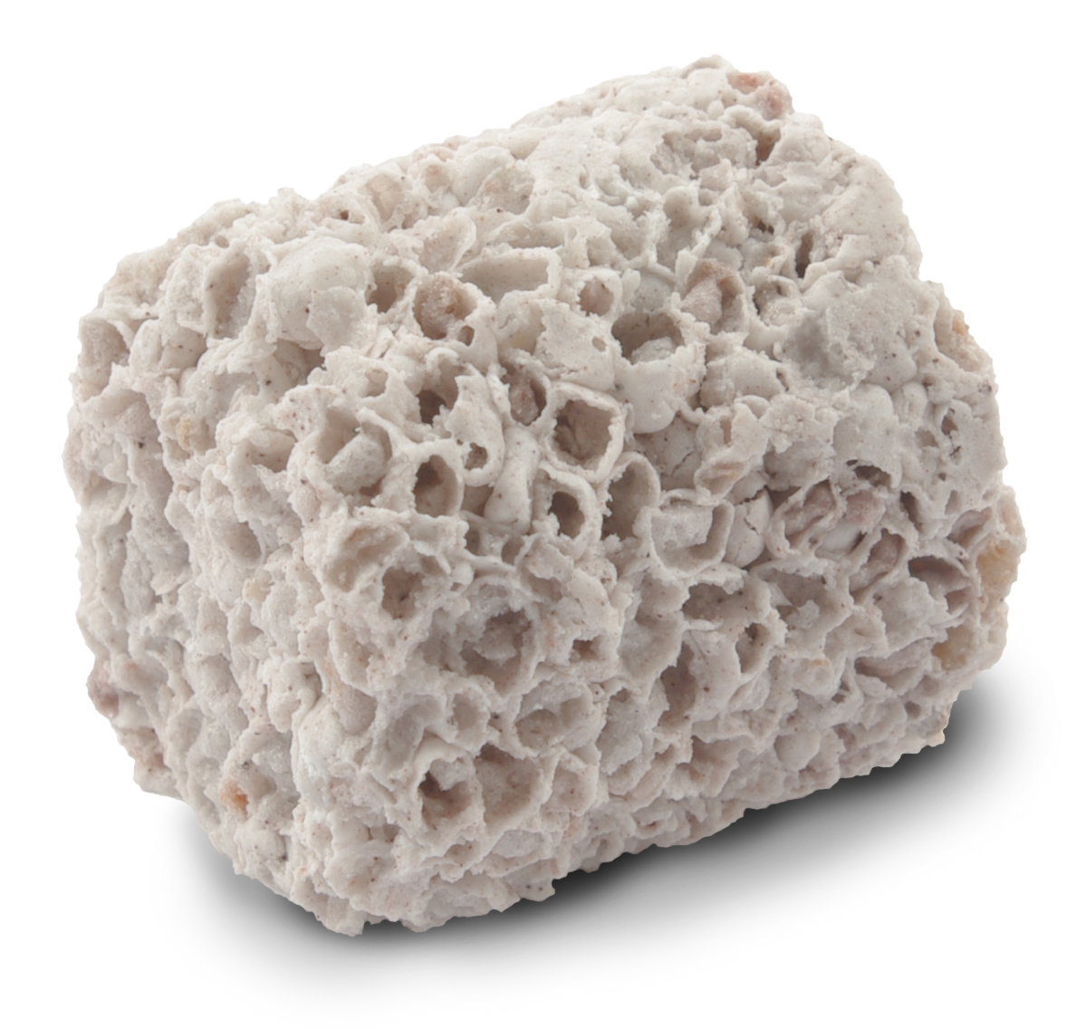 Fluval Bio FX 2 Liter